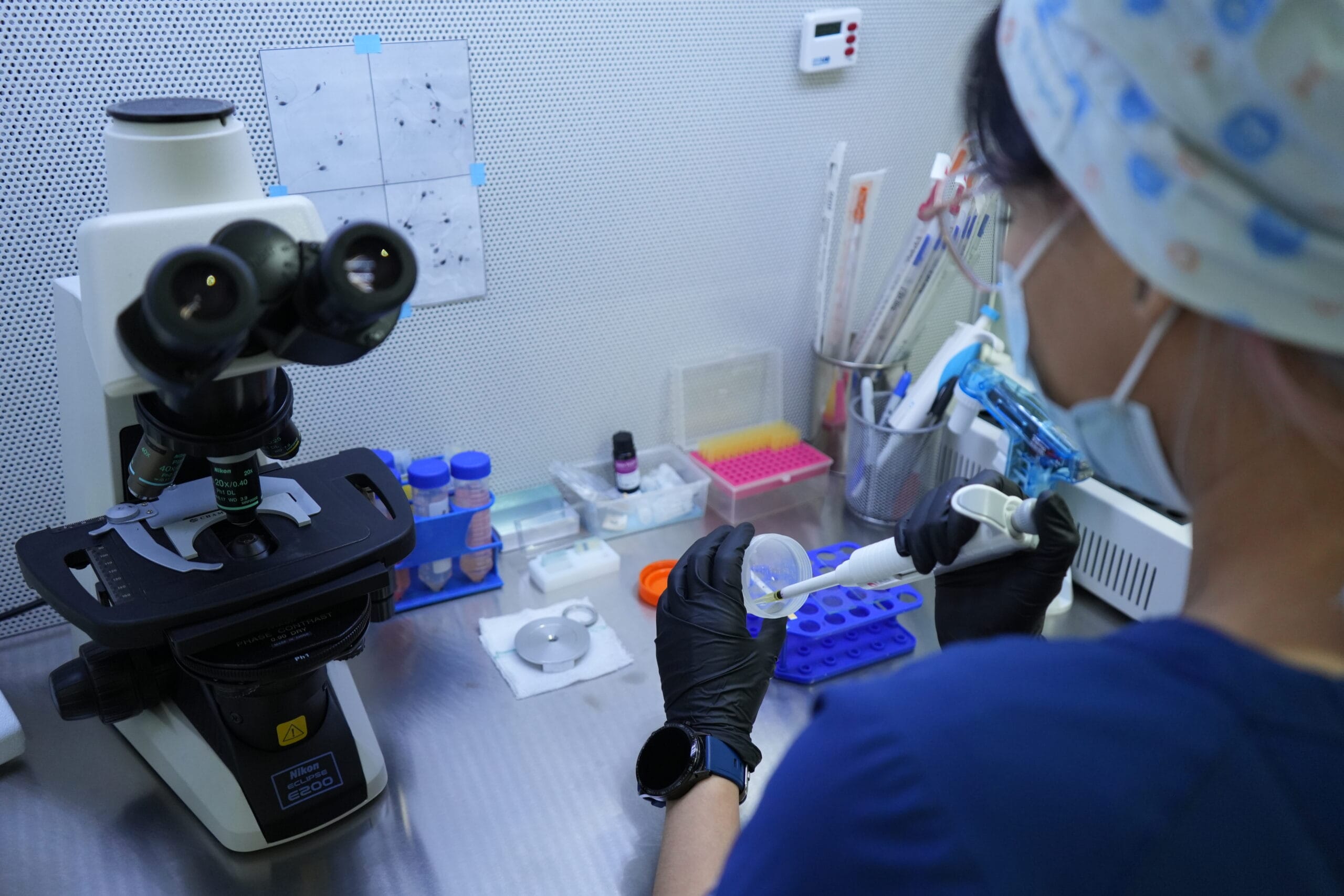 Proceso de Inseminación Artificial en Laboratorio