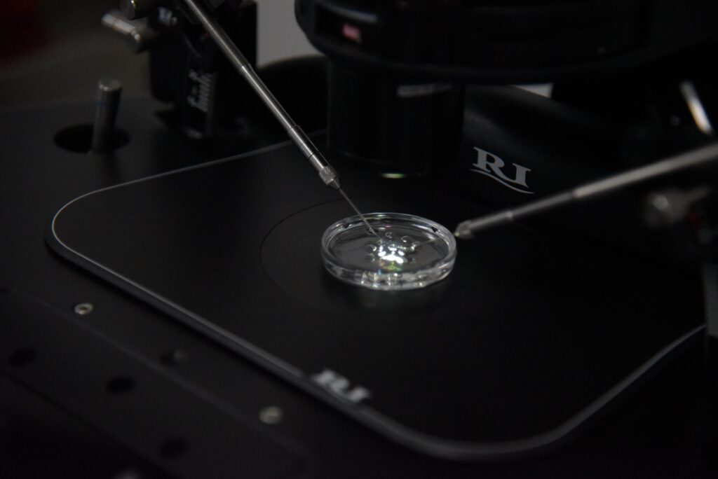Proceso en primer plano de una fertilización in vitro (FIV)